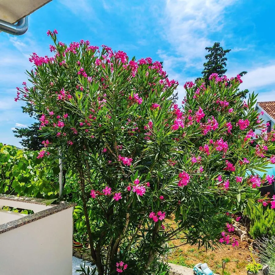 Apartment Apartman Hana Omisalj